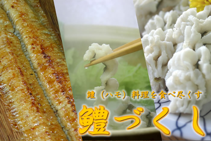 鱧(ハモ)づくし