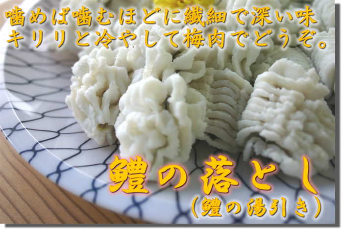 ��i�n���j�̗��Ƃ��i��i�n���j�̓������j