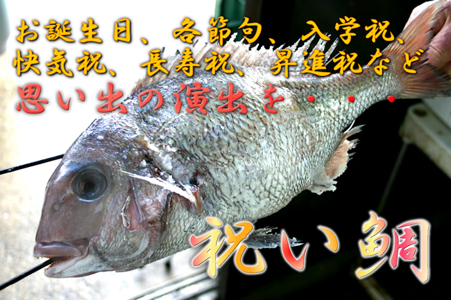 �j����@��̉��Ă�