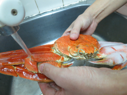 かにまみれ解凍中