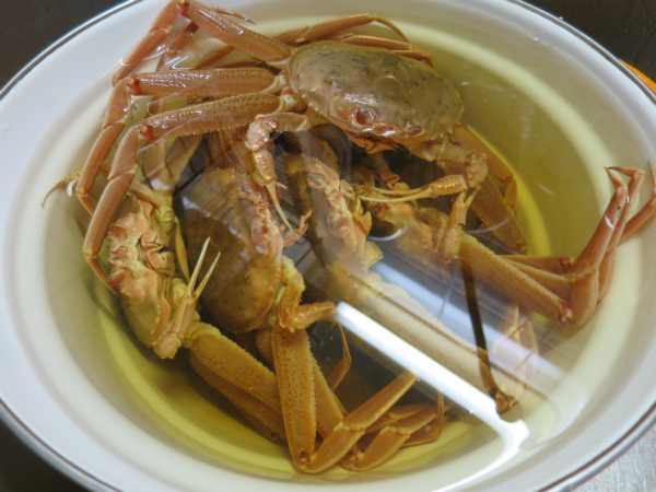 コッペガニの茹で方