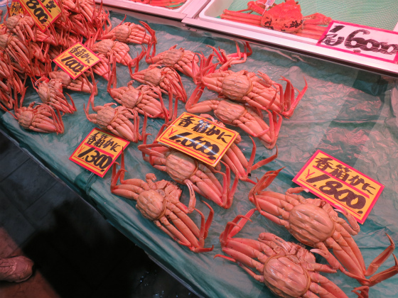 近江町市場で香箱ガニをお土産に買った 魚屋が選ぶカニ通販